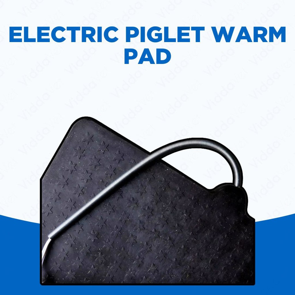 Piglet Electric Heating Warm Pad
