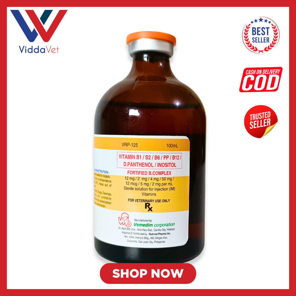 Fortified B Complex 100ml