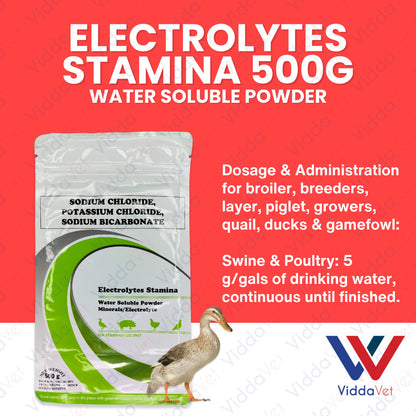 Electrolytes Stamina 500Grams