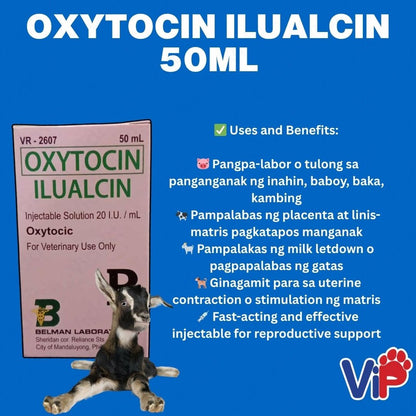 Oxytocin Ilualcin 50ml