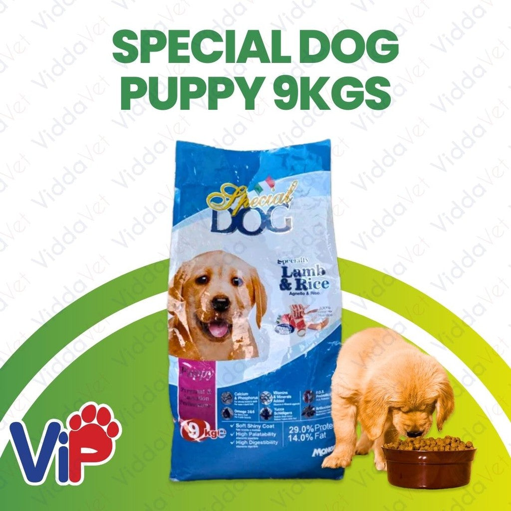 Special Dog Puppy 9KG