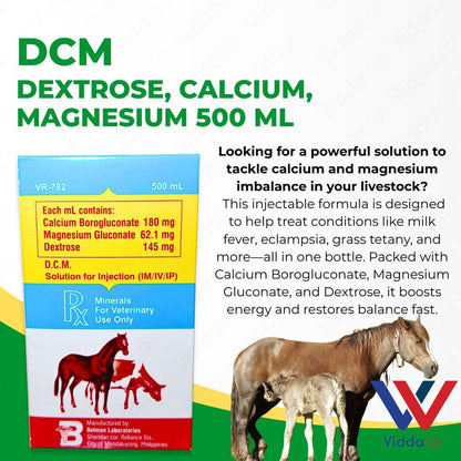 DCM Solution for Injection 500 ml
