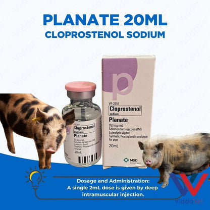 Planate 20mL