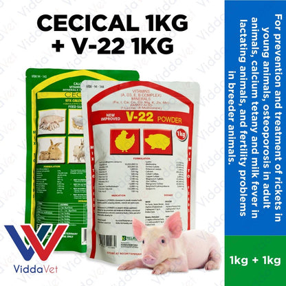 Cecical powder + V22 powder 1kg