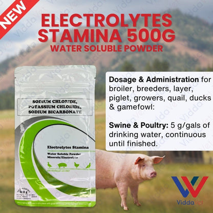 Electrolytes Stamina 500Grams
