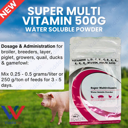 Super Multivitamin 500Grams