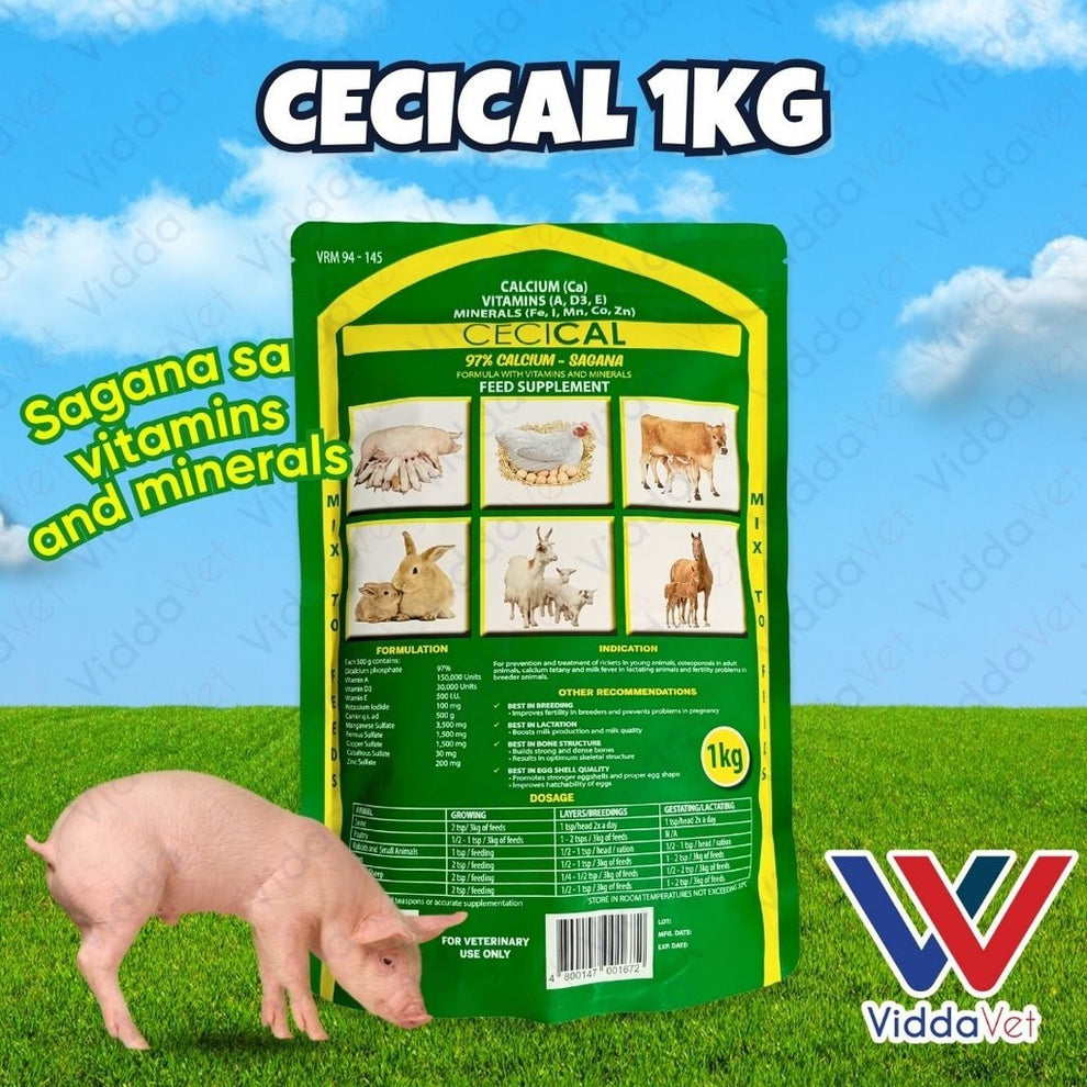 Cecical Powder Feed Supplement 1kg - Premium Digestive Health Support ...