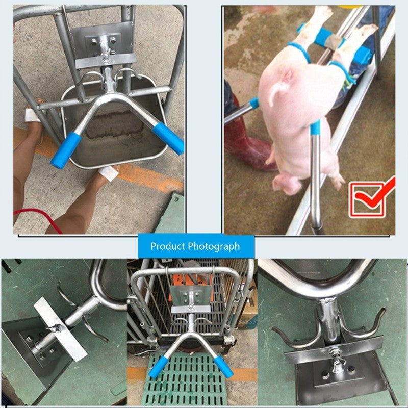 Hang-Type Castration Tool