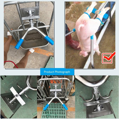 Hang-Type Castration Tool