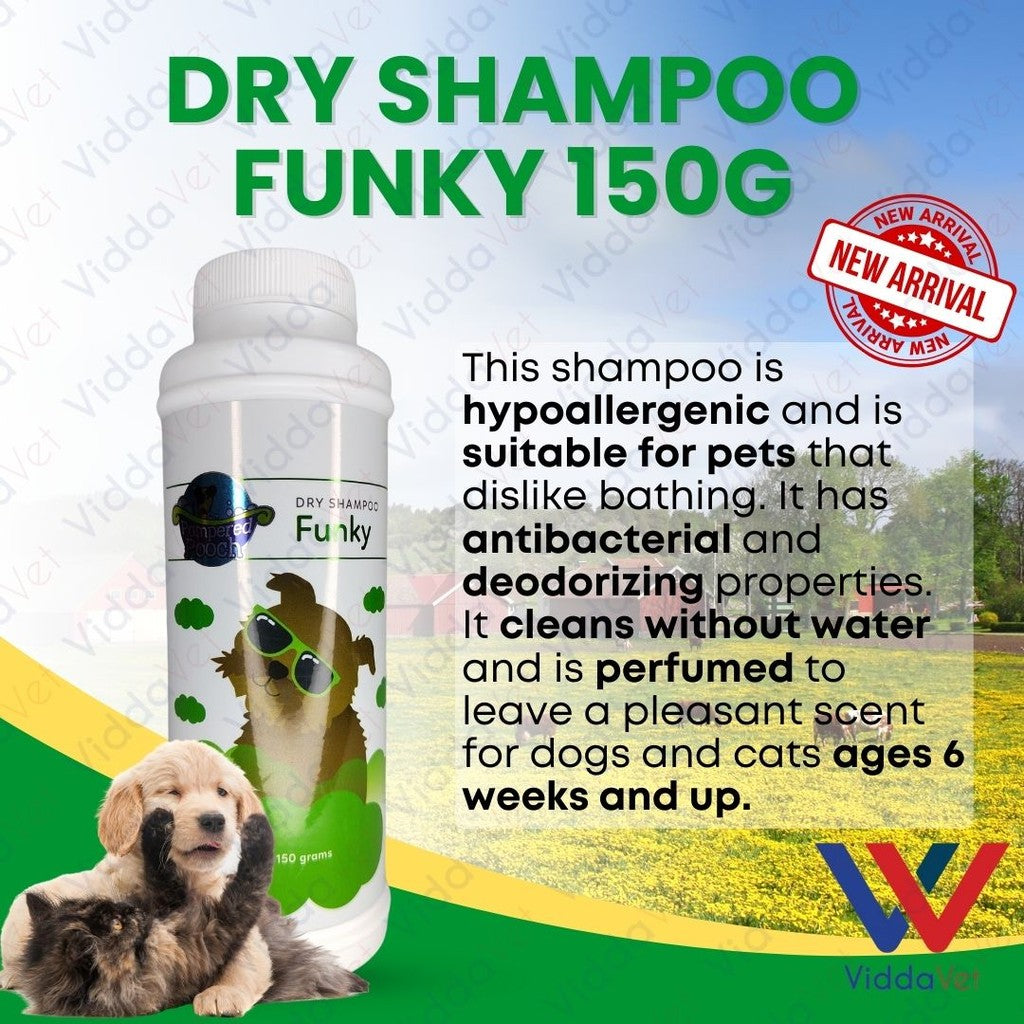 Funky Dry Shampoo 150Grams