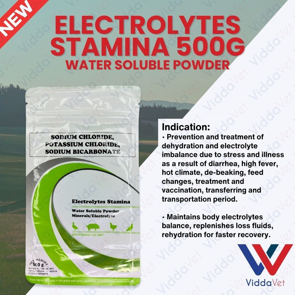 Electrolytes Stamina 500Grams