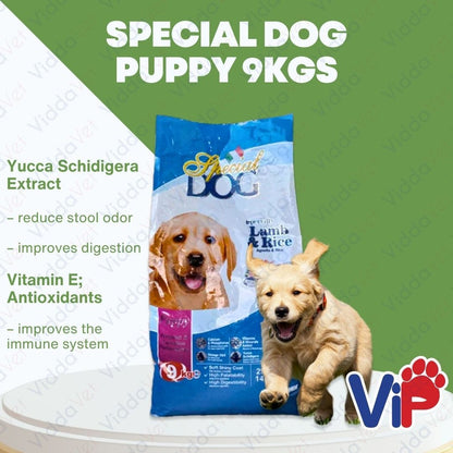 Special Dog Puppy 9KG
