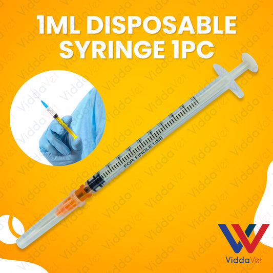 Disposable Syringe 1mL