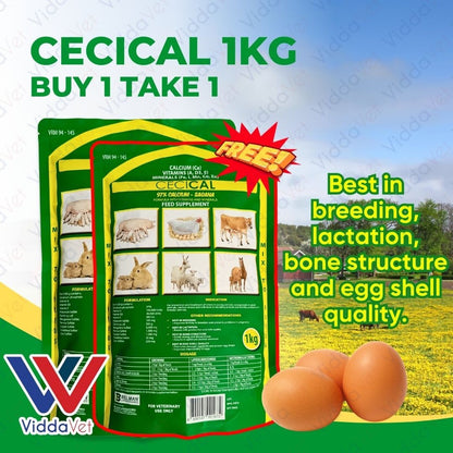 Cecical Powder Buy 1 Take 1 1kg