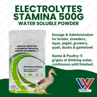Electrolytes Stamina 500Grams