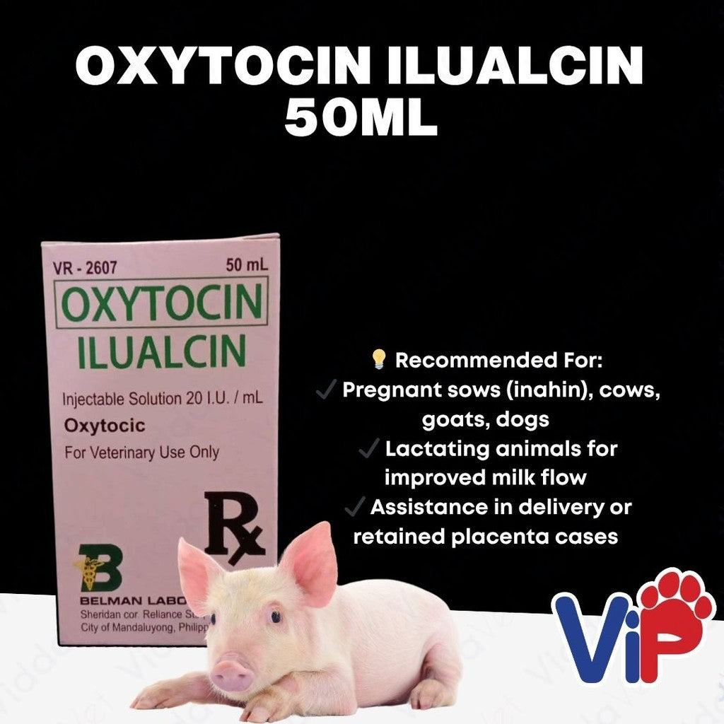 Oxytocin Ilualcin 50ml