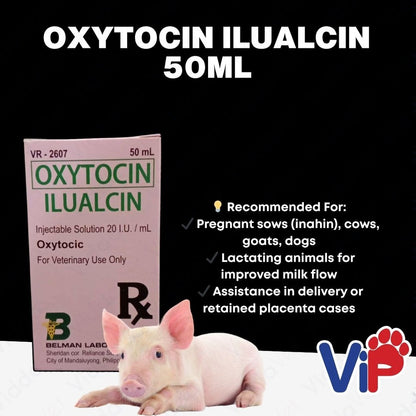 Oxytocin Ilualcin 50ml