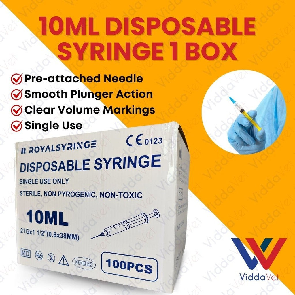 10ml Disposable Syringe (1Box100Pcs)