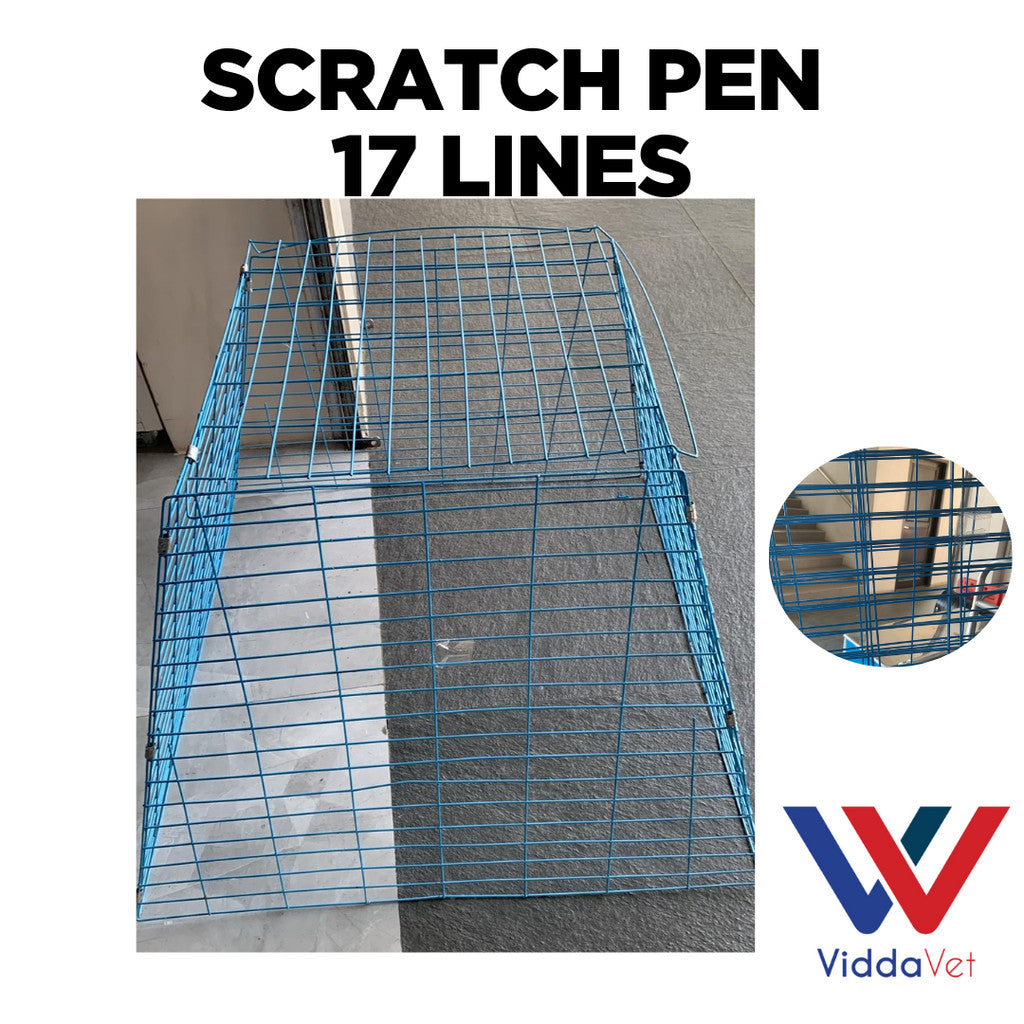 Scratch Pen