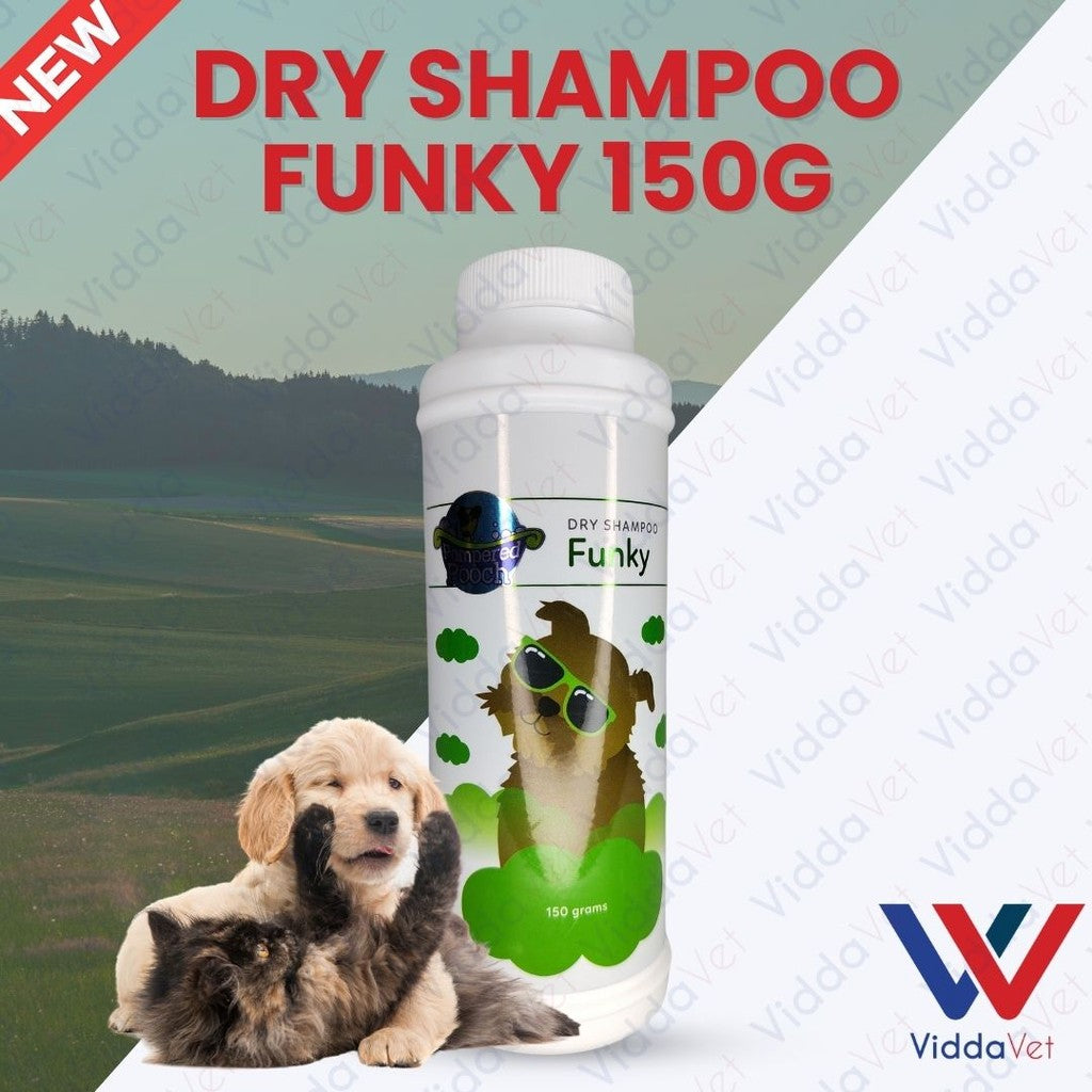 Funky Dry Shampoo 150Grams