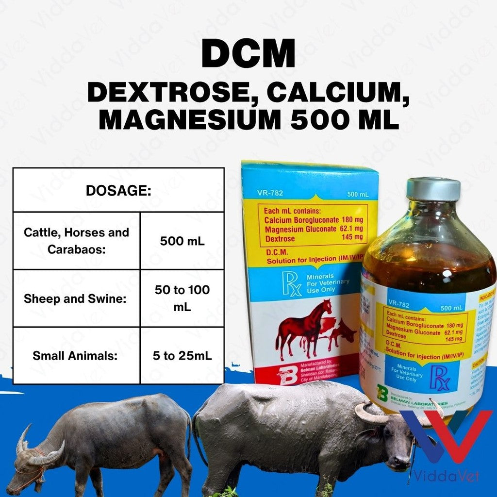 DCM Solution for Injection 500 ml