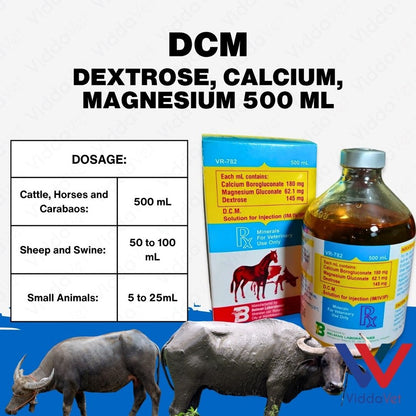 DCM Solution for Injection 500 ml