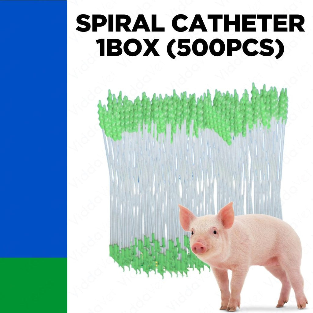 Foam Tip Spiral Catheter 500pcs 1 Box