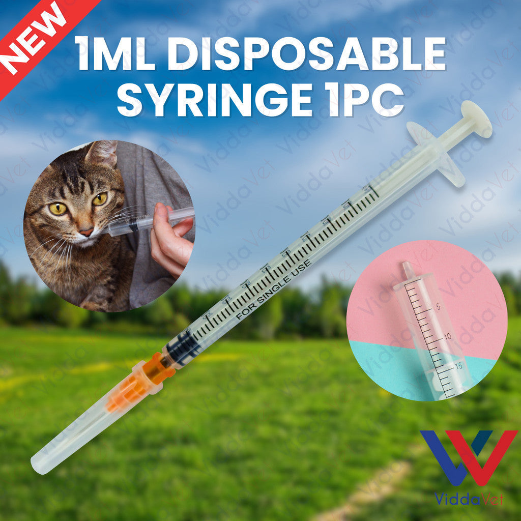 Disposable Syringe 1mL