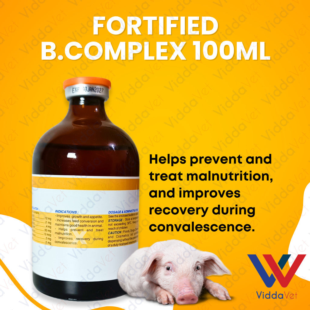 Fortified B Complex 100ml