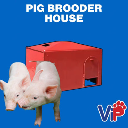 Piglet Brooder house