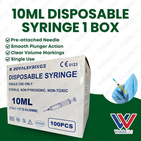 10ml Disposable Syringe (1Box100Pcs)