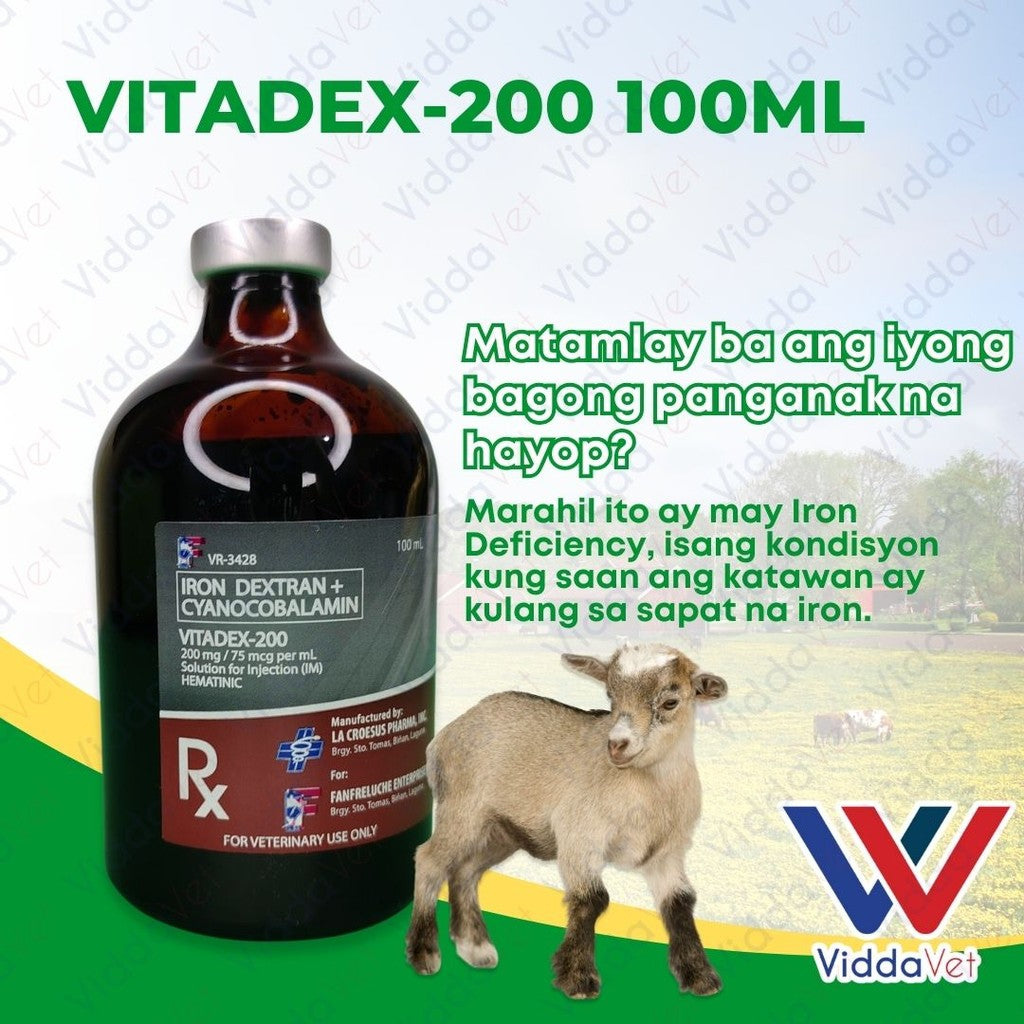 Vitadex-200 100ML