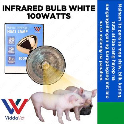 White Infrared Heat Lamp 100watts