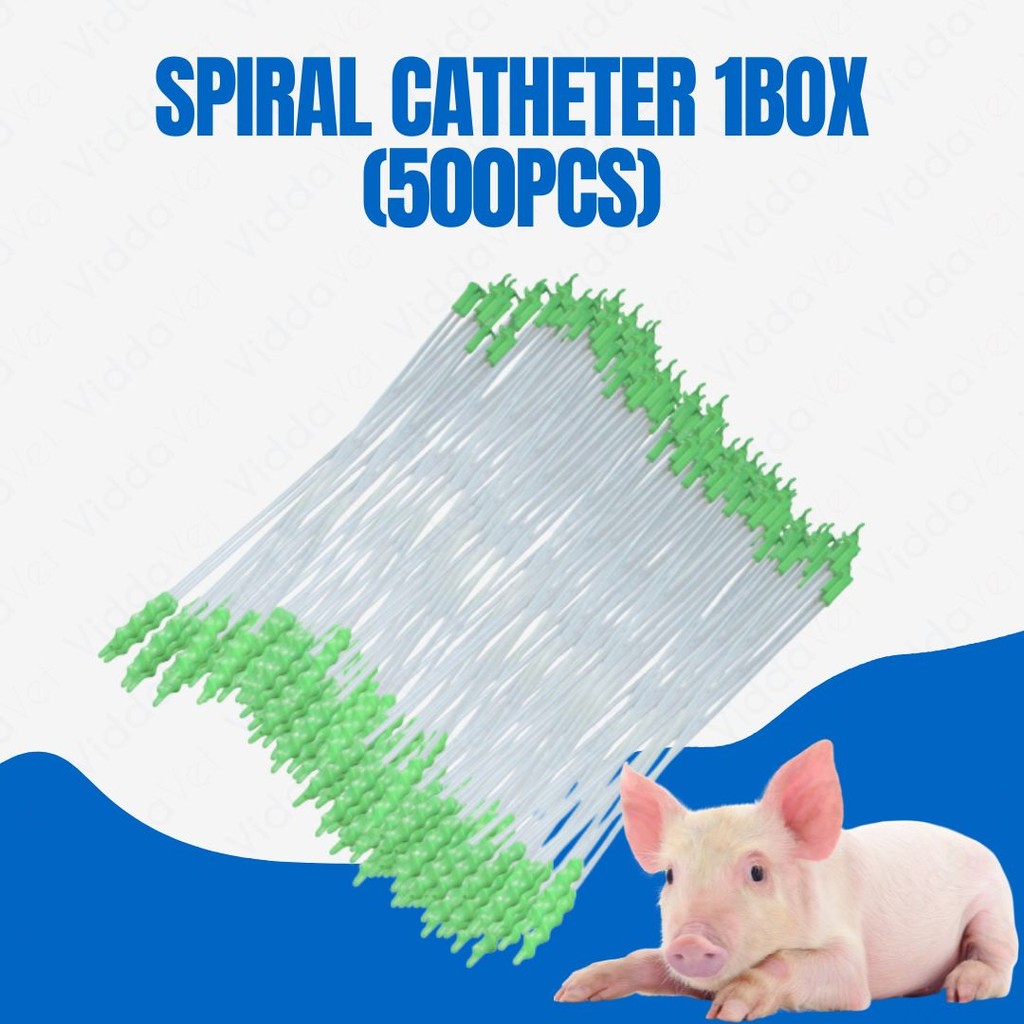 Foam Tip Spiral Catheter 500pcs 1 Box