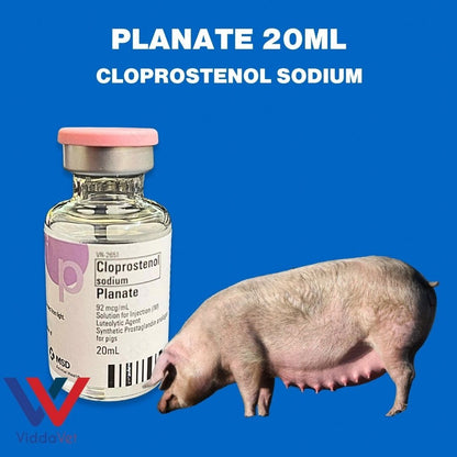 Planate 20mL