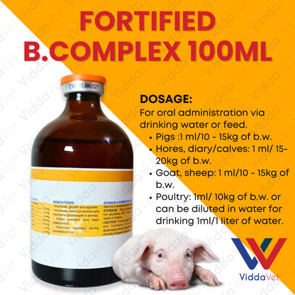 Fortified B Complex 100ml