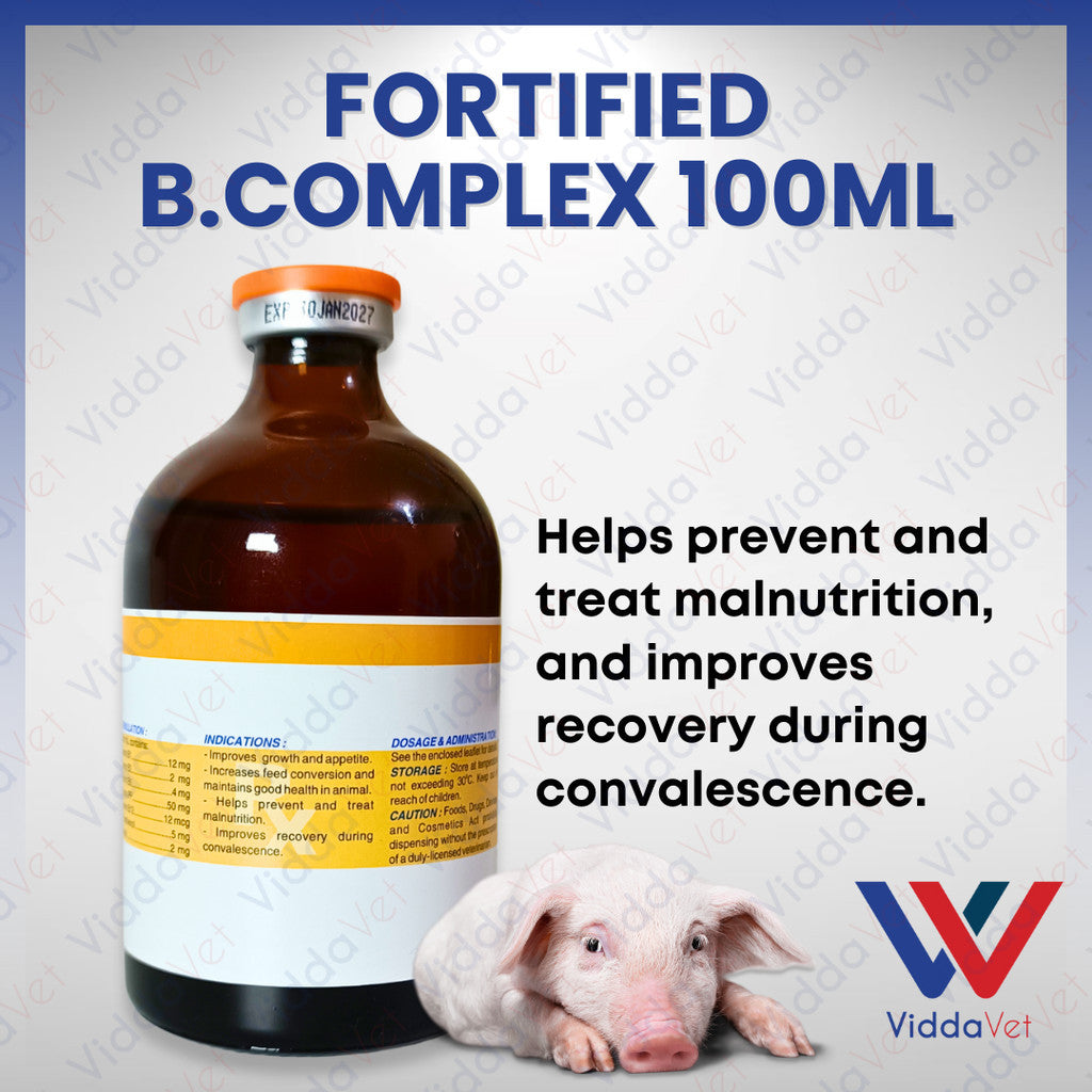 Fortified B Complex 100ml