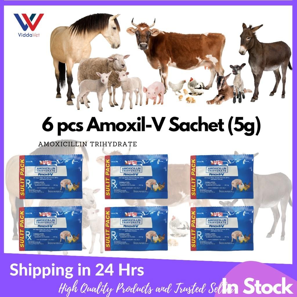 Amoxil-V 6Grams
