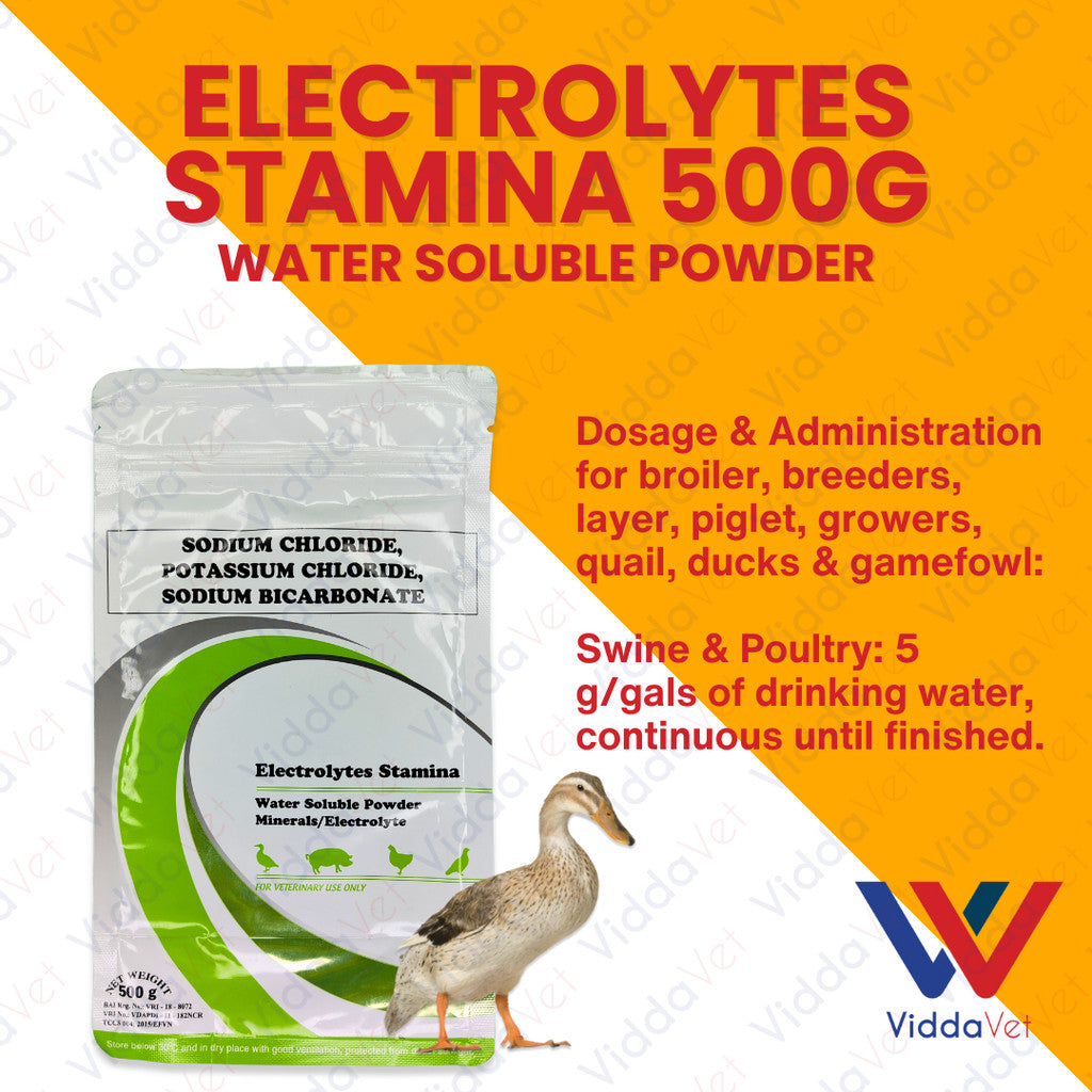 Electrolytes Stamina 500Grams