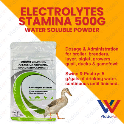 Electrolytes Stamina 500Grams