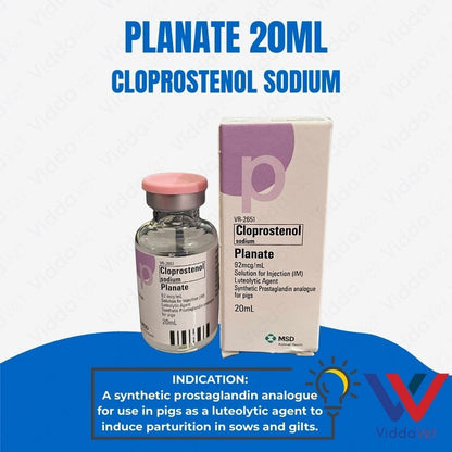 Planate 20mL
