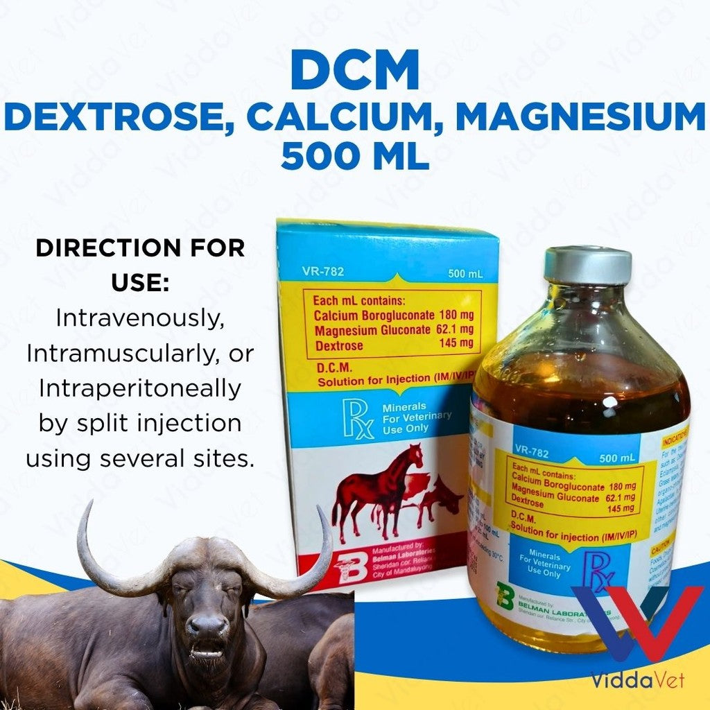 DCM Solution for Injection 500 ml