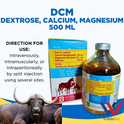 DCM Solution for Injection 500 ml