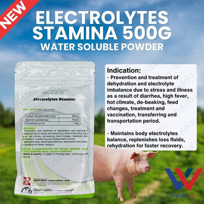 Electrolytes Stamina 500Grams