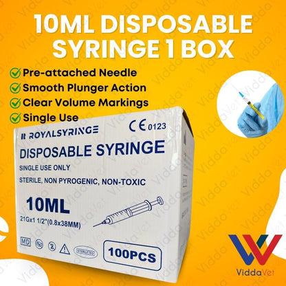 10ml Disposable Syringe (1Box100Pcs)