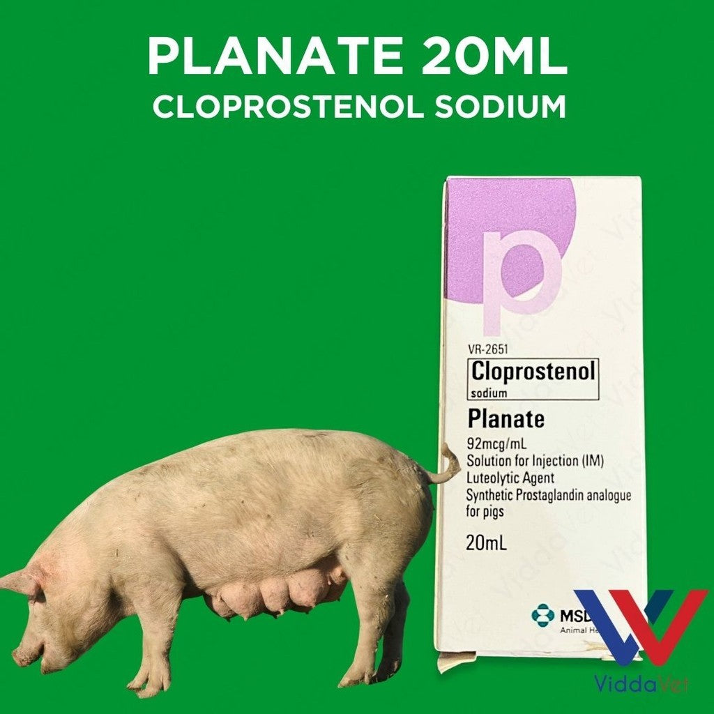 Planate 20mL