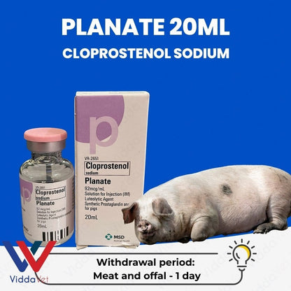 Planate 20mL