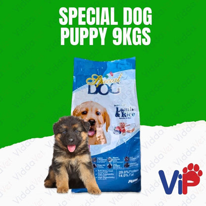 Special Dog Puppy 9KG