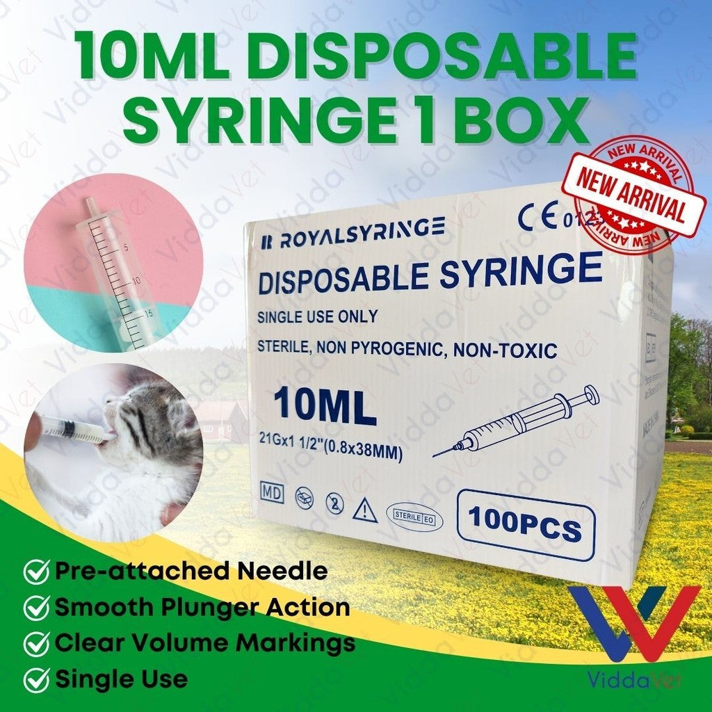 10ml Disposable Syringe (1Box100Pcs)