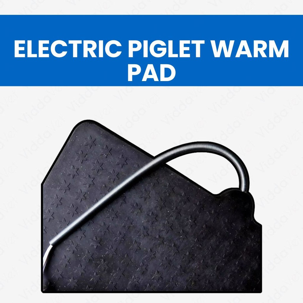 Piglet Electric Heating Warm Pad